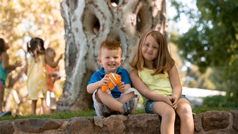 Discover The World Famous Circus Trees At Gilroy Gardens