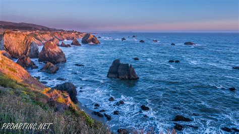 Sonoma Coast State Park 23 | ProArtInc