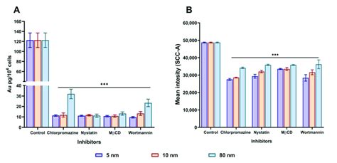 Effects Of Pharmacological Inhibitors On The Internalisation Of