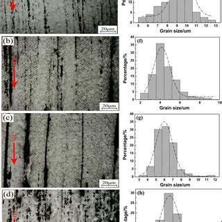 Surface Morphologies Of Different Extruded Alloys After Electrochemical