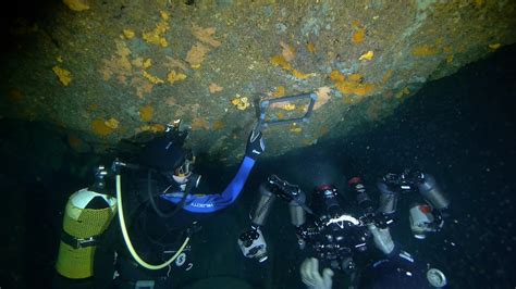 Marine Caves And Benthic Terrazzo Film Stills Contemporary Lynx