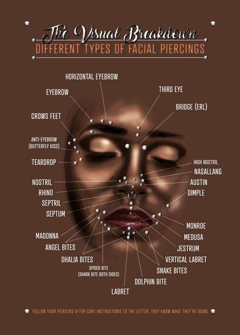 Facial Piercings Chart Poster Picture Metal Print Paint By Jarrod