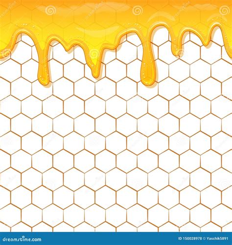 Dripping Honey Seamless Vector Border Natural Sweet Honey Images And