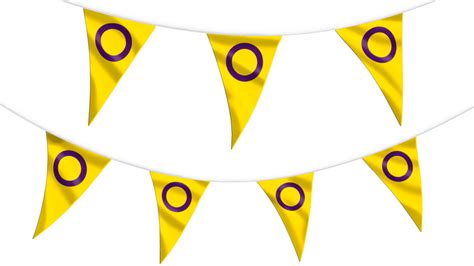 Intersex Pride Bunting Hampshire Flag Company