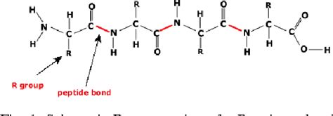 Figure 1 from Dual quaternion applications to bioinformatics for kinematical analysis of Protein ...