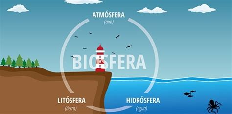 ¿qué Es La Biosfera 🌳🐟🌎 Concepto Y Características