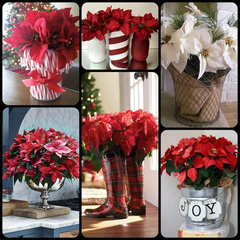 How To Decorate Your Home With Fresh Poinsettias KnockOffDecor