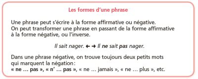 G5 Les phrases affirmatives et négatives