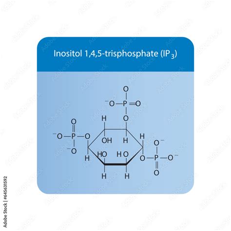 Inositol Trisphosphate Ip3 Endogenous Second Messenger In Cell