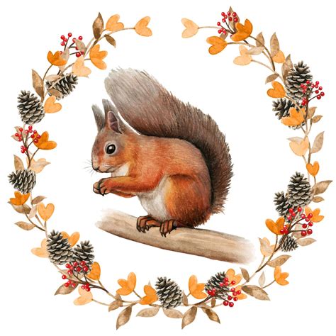 Squirrel In Tree Clip Art