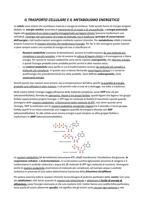 Il Trasporto Cellulare E Il Metabolismo Energetico Ossidazione Del