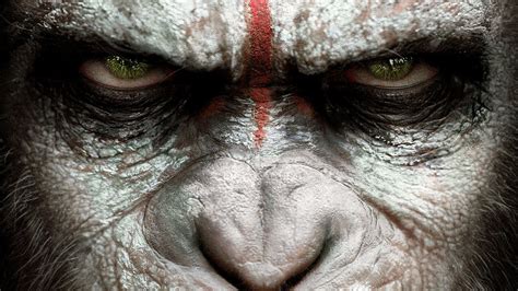 Download Movie Dawn Of The Planet Of The Apes Hd Wallpaper