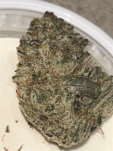 Juicy Berry Marihuana Strain Information Spliffmeister