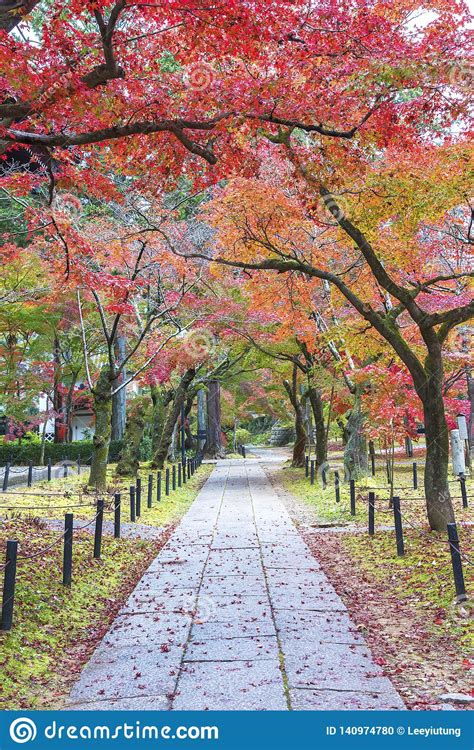 Idyllic Landscape of Kyoto, Japan Stock Photo - Image of beauty, nature: 140974780