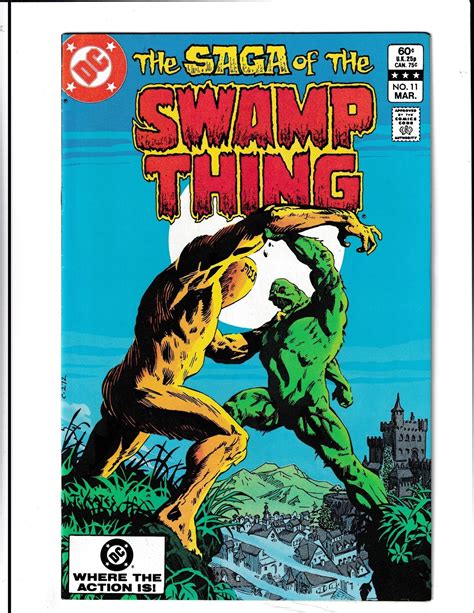 Saga Of Swamp Thing Dc Comics Comic Books Bronze Age Dc