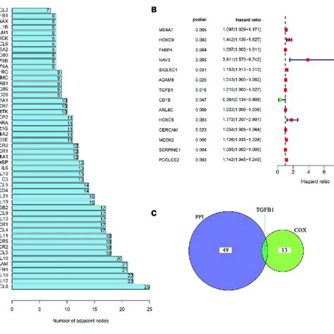 Univariate Cox Regression Analysis Of Degs A The Top 50 Genes Download Scientific Diagram