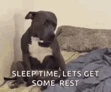 Sleepytime GIF - Sleepytime - Discover & Share GIFs