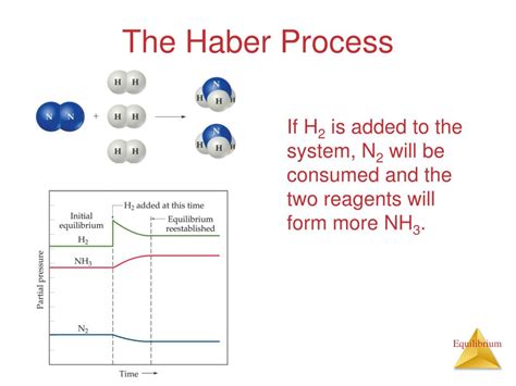 Ppt Chapter 15 Chemical Equilibrium Powerpoint Presentation Free