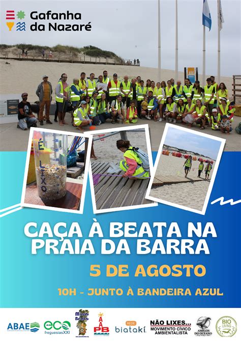 Praia da Barra Caça à Beata no dia 5 de agosto O Ilhavense