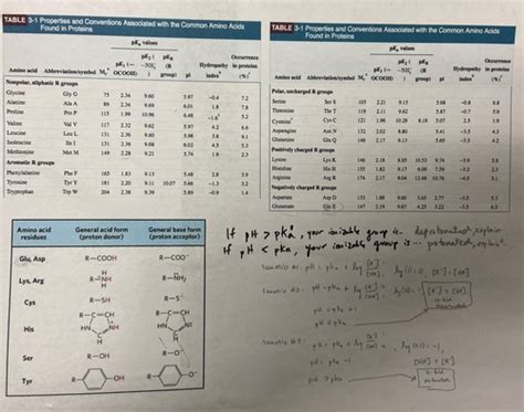 Biochem Final Review Flashcards Quizlet