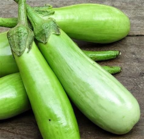 Brinjal – Green medium - Farmseller