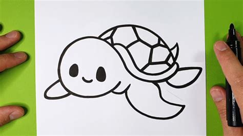 Comment Dessiner Une Tortue Étape Par Étape Tutoriel De Dessin Youtube