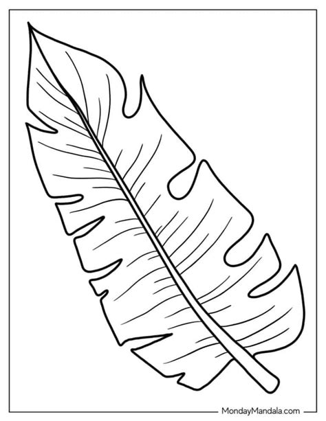 34 Leaf Coloring Pages Free Pdf Printables