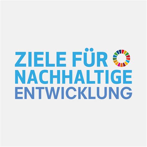 Sdg Partnerschaften Zur Erreichung Der Ziele Bmz