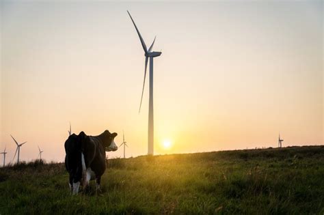 Dairy Industry Pivoting Toward A Sustainable Future Dairy Processing