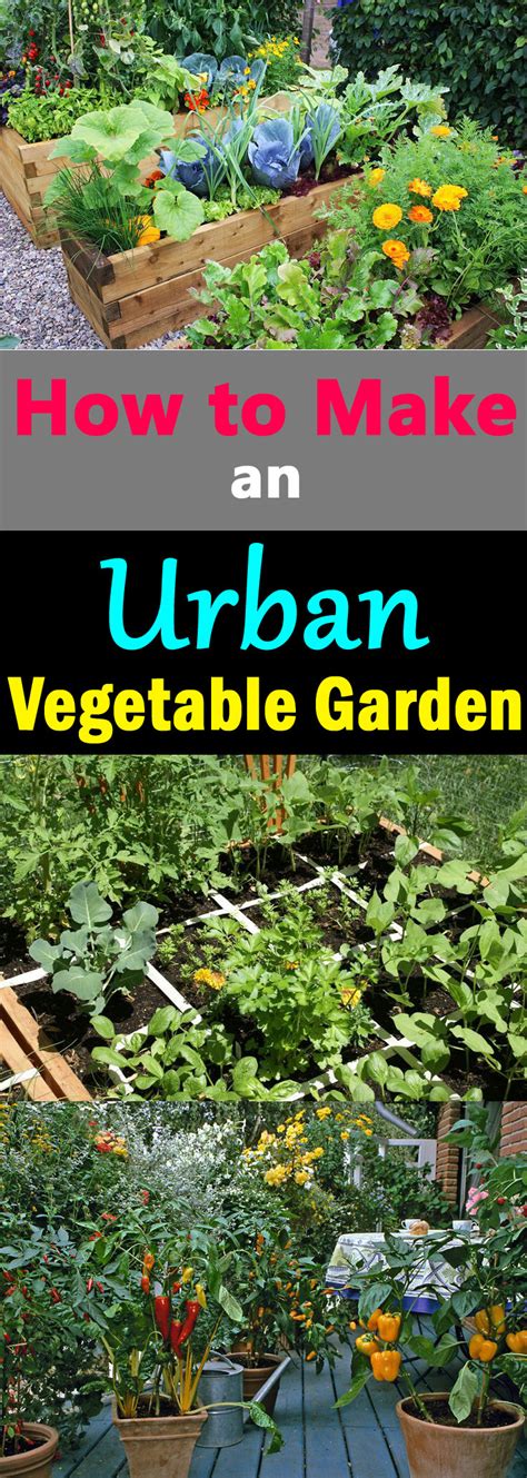 Creating An Urban Vegetable Garden Hawk Haven