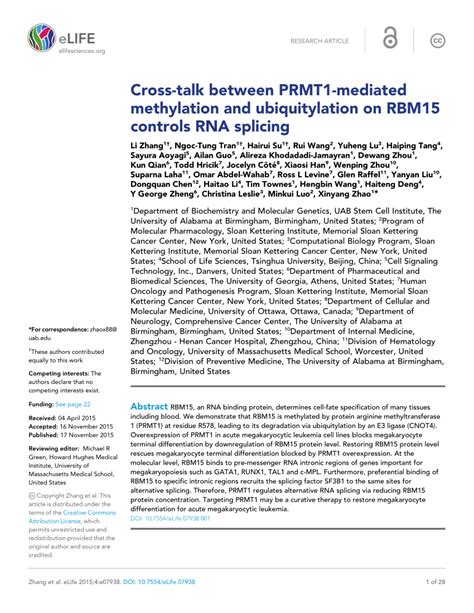 Pdf Cross Talk Between Prmt1 Mediated Methylation And Ubiquitylation