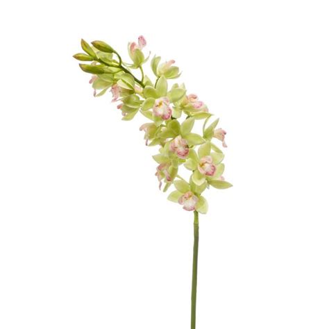 Acheter des Tige d orchidée Cymbidium en tissu LAIA vert rose 75cm