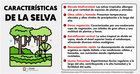 Características de la Selva