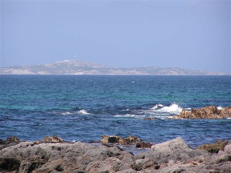 3 Things You Can See On Montague Island - Kazakhstan Tourist - The