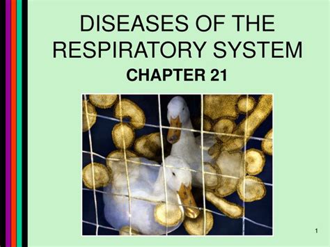 Ppt Diseases Of The Respiratory System Powerpoint Presentation Free