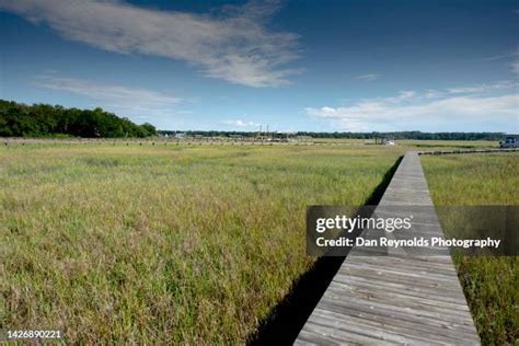 Disappearing Island Florida Photos And Premium High Res Pictures