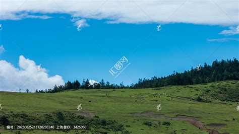 丽江玉龙雪山牦牛坪风光高山丘壑自然风景摄影素材汇图网