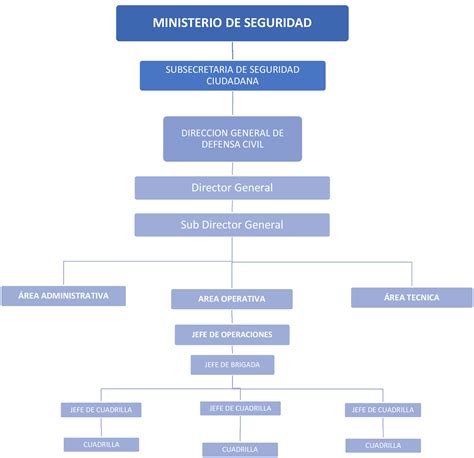 Organigrama Dirección De Defensa Civil