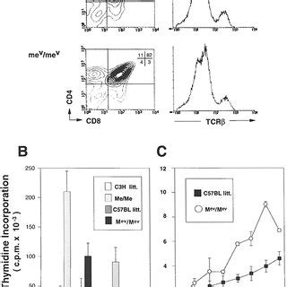 Comparison Of T Cell Maturation And Proliferative Response To Tcp