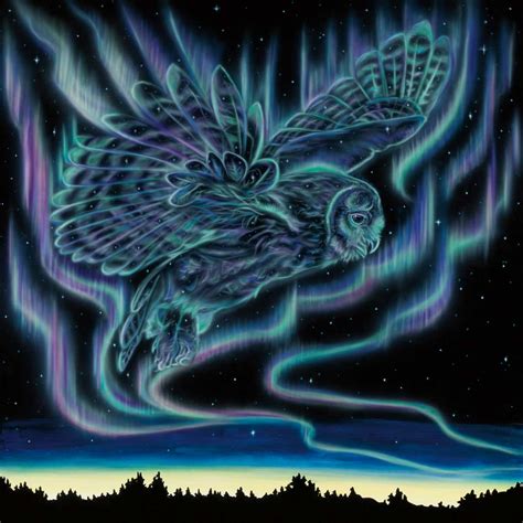 Sky Dance Owl Art Card North Of 50 First Nations And Métis Art Boutique