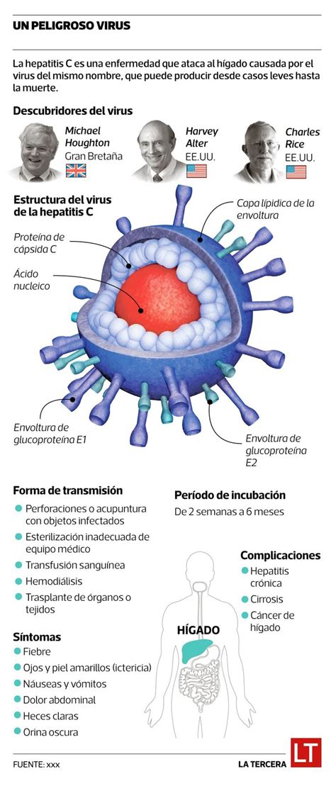 Un Brit Nico Y Dos Estadounidenses Ganan El Premio Nobel De Medicina