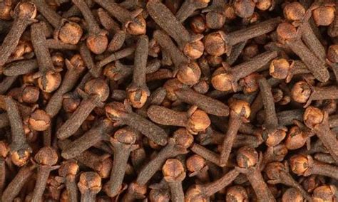 Brown Whole Organic Dry Cloves At Rs 980 Kg In Coimbatore ID 2504345162