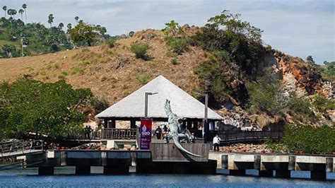 Paket Wisata Labuan Bajo Loh Buaya Di Pulau Rinca Akan Dibuka September Bak Jurassic Park