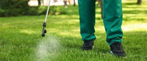 Want A Beautiful Healthy Lawn If So Schedule These Lawn Care