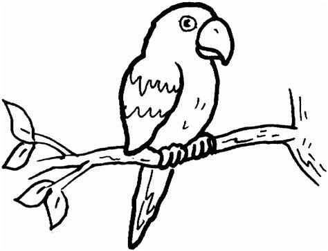 Parrot Outline - Coloring Home