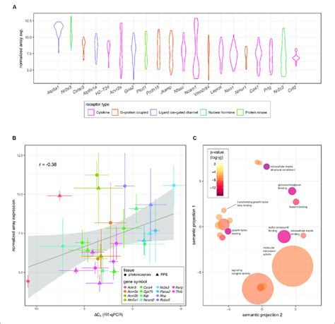 Prediction Of Receptor Gene Expression In Photoreceptors A Download Scientific Diagram