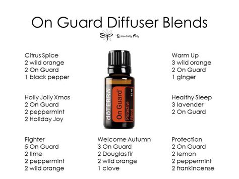 On Guard Diffuser Blends By Essentially Polly Essential Oil Recipes