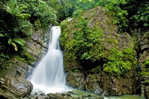 Waterfall El Yunque National Forest Waterfall Photo