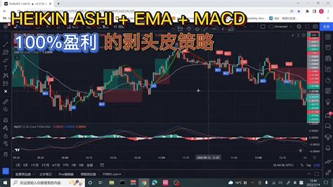 100盈利的剥头皮交易策略 Heikin Ashi Ema Macd 无脑操作 简单高效 Youtube