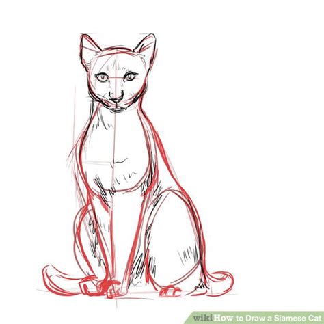 Siamese Cat Sketch at PaintingValley.com | Explore collection of ...